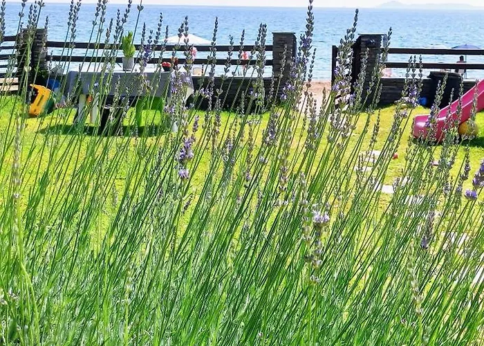 Xd Al Mare Apartamento *