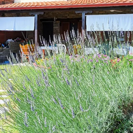 Xd Al Mare Appartement Ierissos