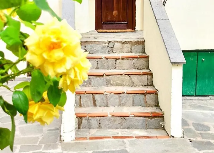 Lejlighed Xd Al Mare